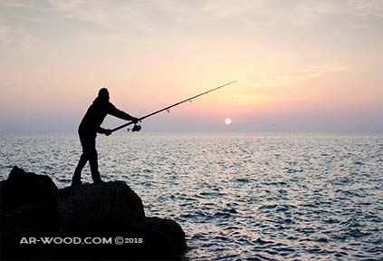 افضل وقت لصيد السمك من الشاطئ