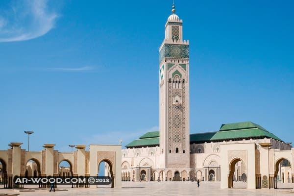الصلاة في المسجد في المنام